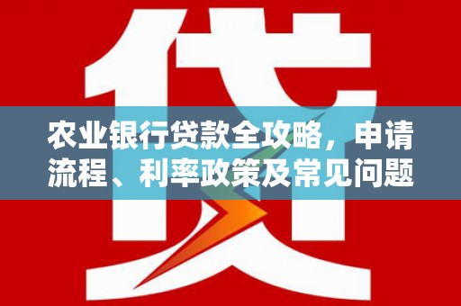 孝昌农业银行贷款全攻略，申请流程、利率政策及常见问题解析