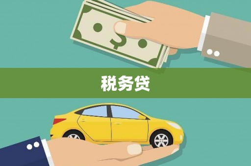 孝昌税务贷