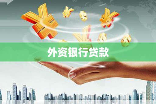 孝昌外资银行贷款