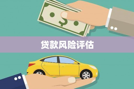 孝昌贷款风险评估