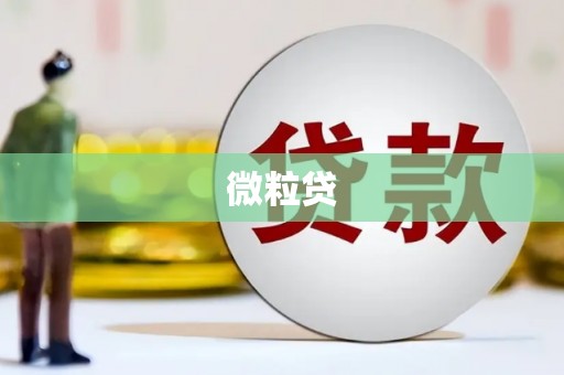 孝昌微粒贷