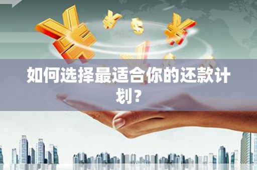 孝昌如何选择最适合你的还款计划？