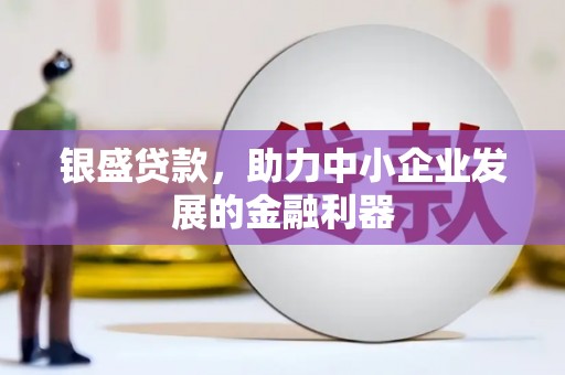 孝昌银盛贷款，助力中小企业发展的金融利器