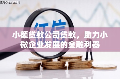 孝昌小额贷款公司贷款，助力小微企业发展的金融利器