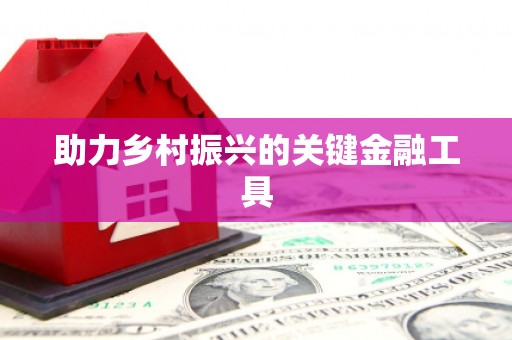 孝昌助力乡村振兴的关键金融工具