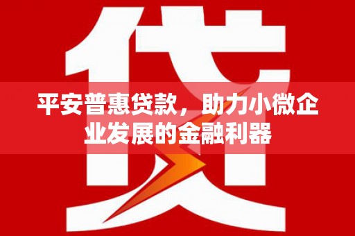 孝昌平安普惠贷款，助力小微企业发展的金融利器
