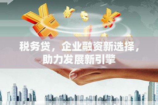 孝昌税务贷，企业融资新选择，助力发展新引擎