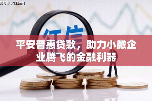 孝昌平安普惠贷款，助力小微企业腾飞的金融利器