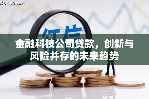 孝昌金融科技公司贷款，创新与风险并存的未来趋势