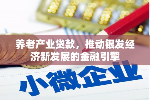 孝昌养老产业贷款，推动银发经济新发展的金融引擎