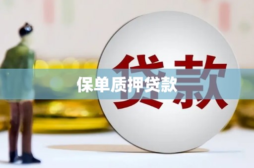 孝昌保单质押贷款