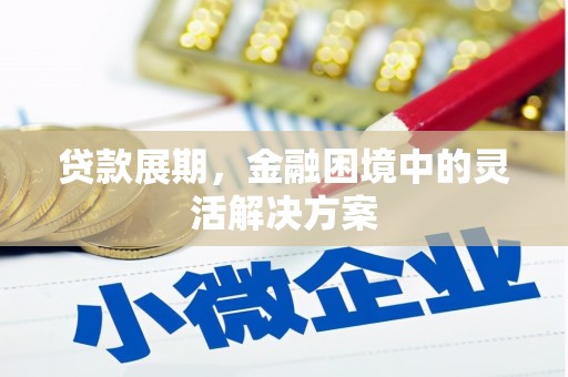 孝昌贷款展期，金融困境中的灵活解决方案