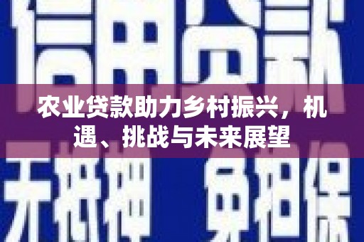 孝昌农业贷款助力乡村振兴，机遇、挑战与未来展望