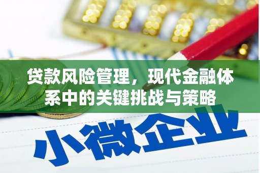 孝昌贷款风险管理，现代金融体系中的关键挑战与策略