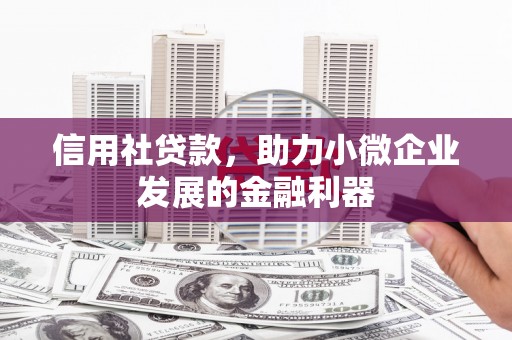 孝昌信用社贷款，助力小微企业发展的金融利器