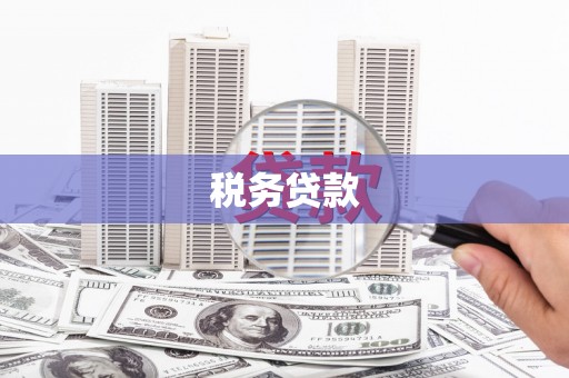 孝昌税务贷款