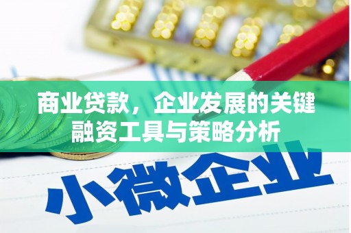 孝昌商业贷款，企业发展的关键融资工具与策略分析