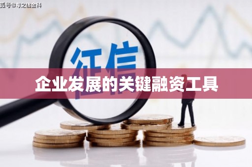 孝昌企业发展的关键融资工具