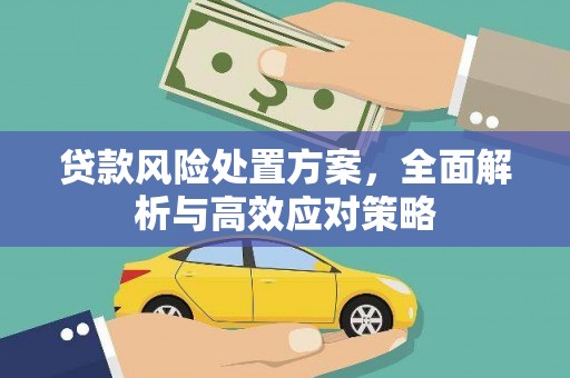 孝昌贷款风险处置方案，全面解析与高效应对策略
