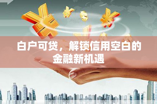 孝昌白户可贷，解锁信用空白的金融新机遇