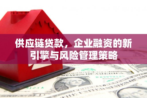 孝昌供应链贷款，企业融资的新引擎与风险管理策略