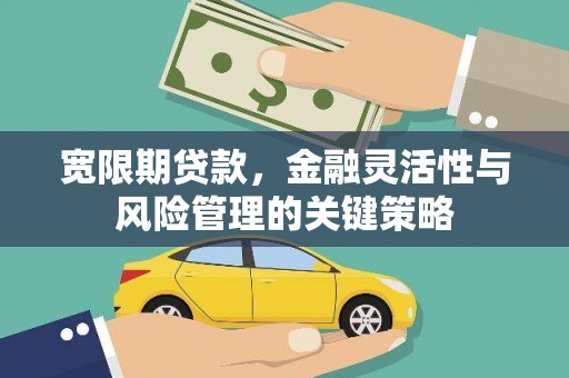 孝昌宽限期贷款，金融灵活性与风险管理的关键策略