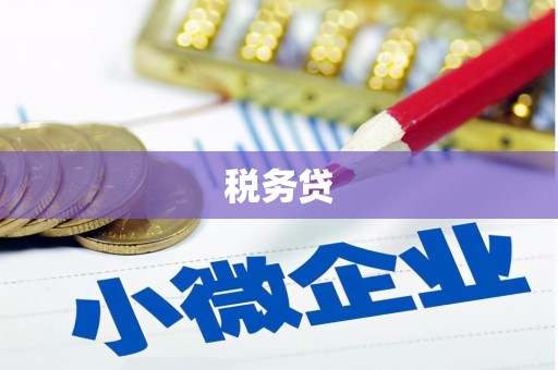孝昌税务贷