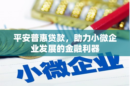 孝昌平安普惠贷款，助力小微企业发展的金融利器