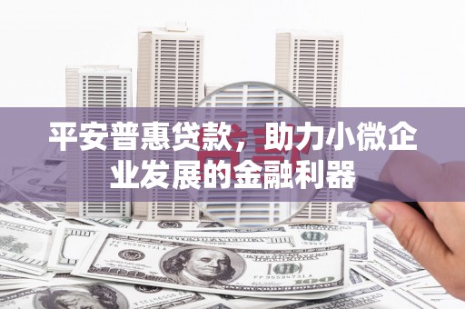 孝昌平安普惠贷款，助力小微企业发展的金融利器
