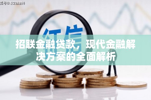 孝昌招联金融贷款，现代金融解决方案的全面解析