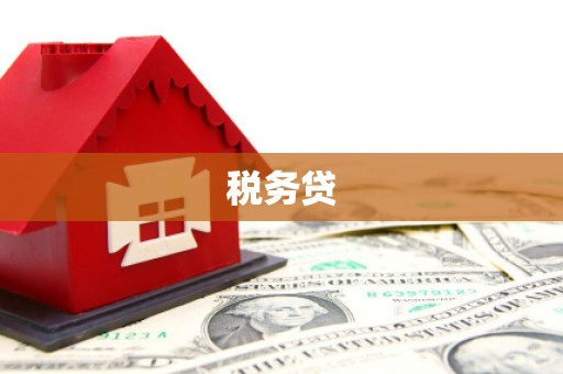 孝昌税务贷