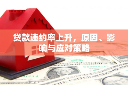 孝昌贷款违约率上升，原因、影响与应对策略