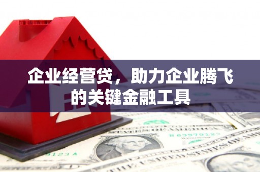 孝昌企业经营贷，助力企业腾飞的关键金融工具