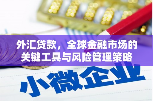 孝昌外汇贷款，全球金融市场的关键工具与风险管理策略