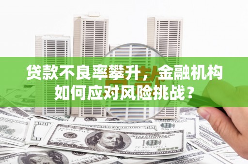 孝昌贷款不良率攀升，金融机构如何应对风险挑战？