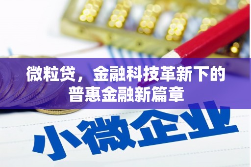 孝昌微粒贷，金融科技革新下的普惠金融新篇章
