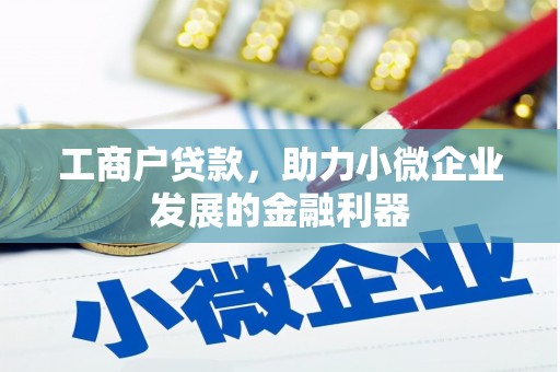 孝昌工商户贷款，助力小微企业发展的金融利器