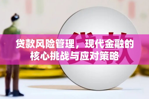 孝昌贷款风险管理，现代金融的核心挑战与应对策略