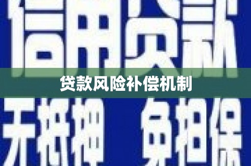 孝昌贷款风险补偿机制