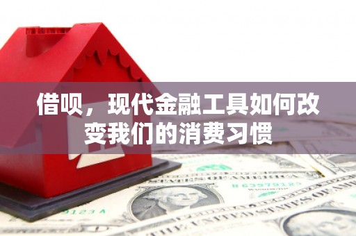 孝昌借呗，现代金融工具如何改变我们的消费习惯
