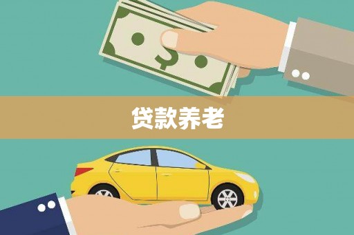 孝昌贷款养老