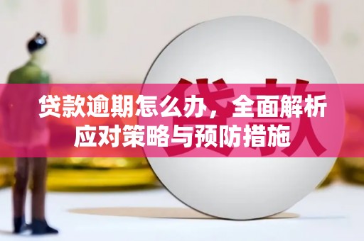 孝昌贷款逾期怎么办，全面解析应对策略与预防措施