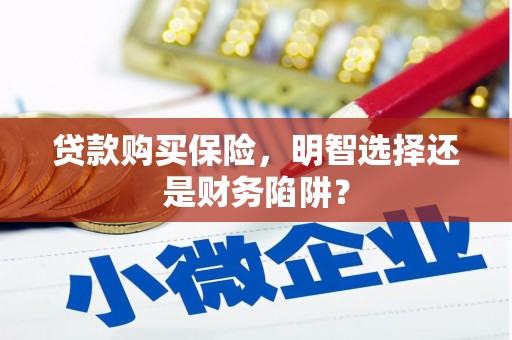 孝昌贷款购买保险，明智选择还是财务陷阱？