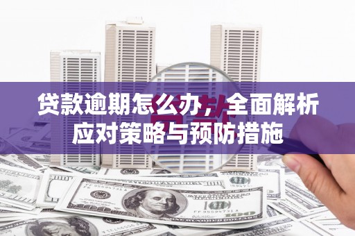 孝昌贷款逾期怎么办，全面解析应对策略与预防措施