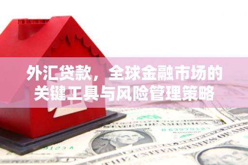 孝昌外汇贷款，全球金融市场的关键工具与风险管理策略