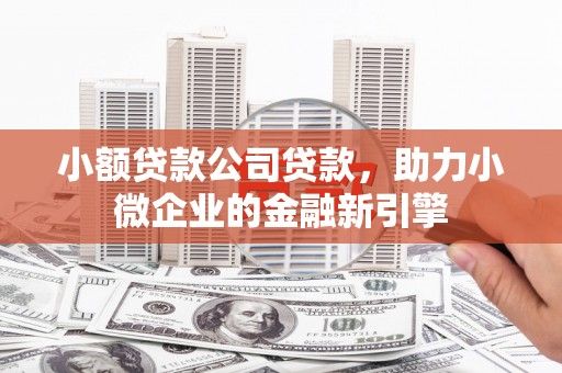孝昌小额贷款公司贷款，助力小微企业的金融新引擎