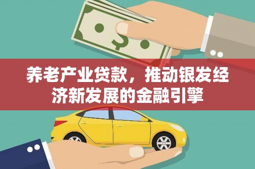 孝昌养老产业贷款，推动银发经济新发展的金融引擎