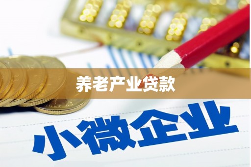 孝昌养老产业贷款