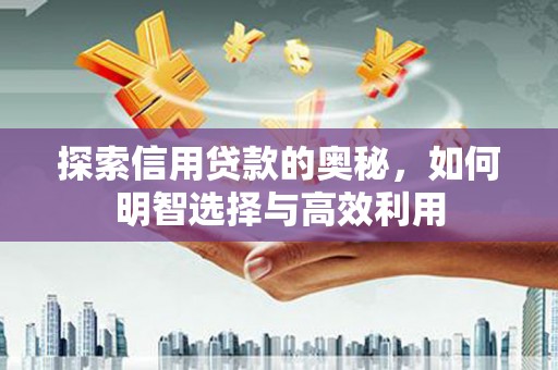 孝昌探索信用贷款的奥秘，如何明智选择与高效利用