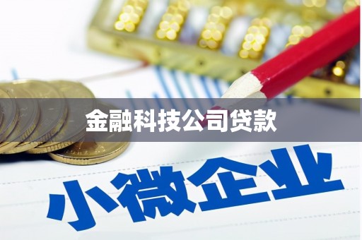 孝昌金融科技公司贷款
